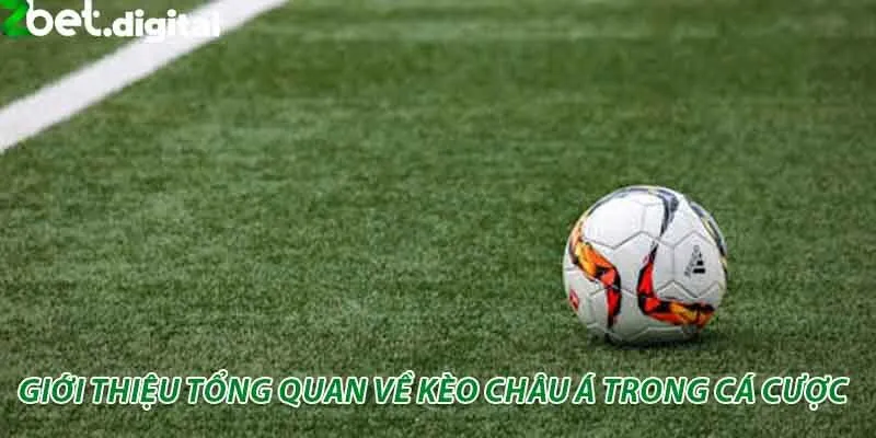 gioi thieu keo chau a 1